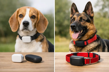 Pet Tracker vs GPS Collar: What to Buy
