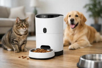 Automatic Pet Feeder Review: Worth It?