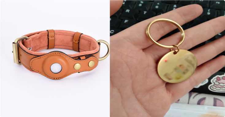 GPS Pet Tracker Collar