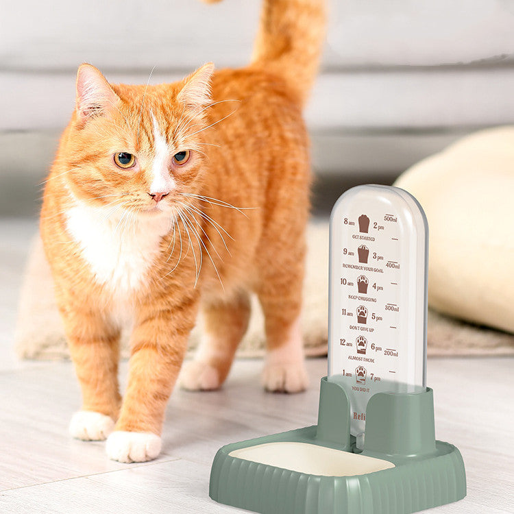 Cat Water Fountain Filter